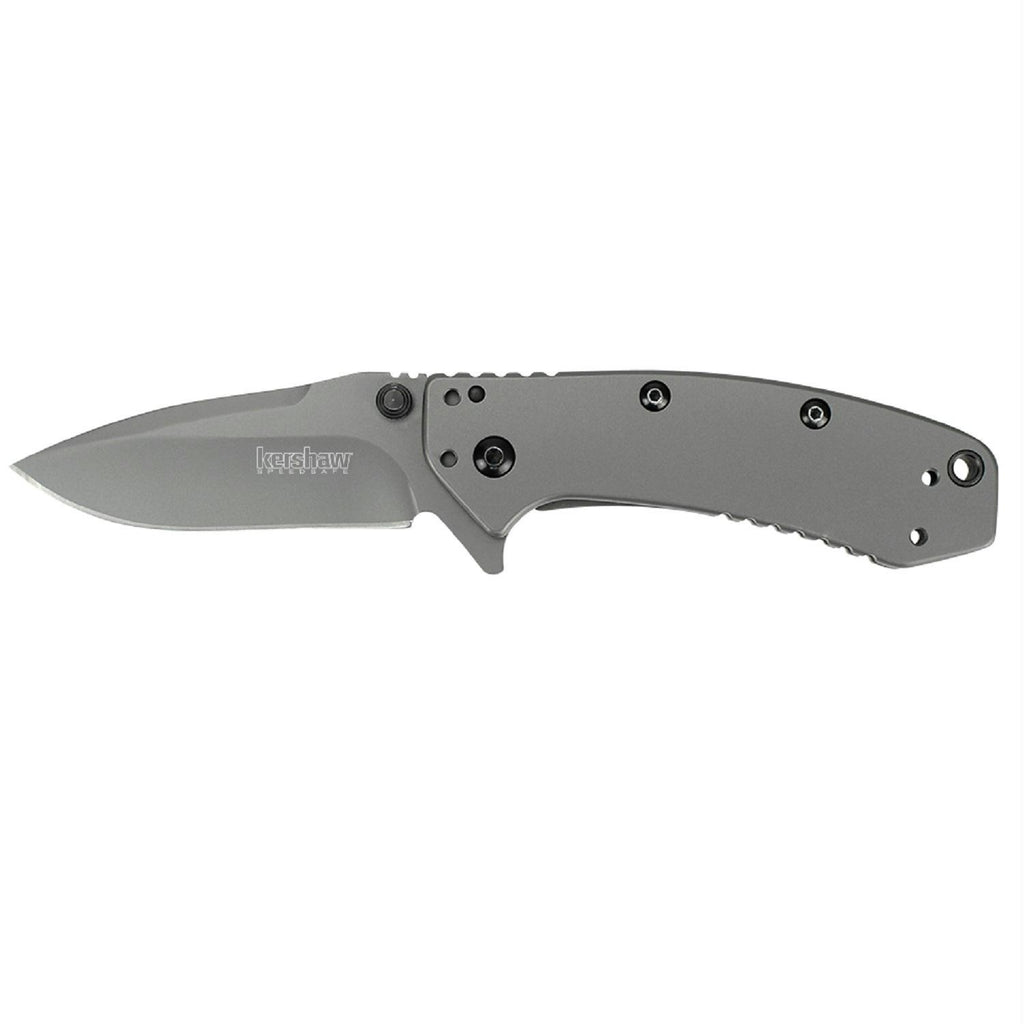 Kershaw Cryo Assisted 2.75 in Plainedge Gray Stainless