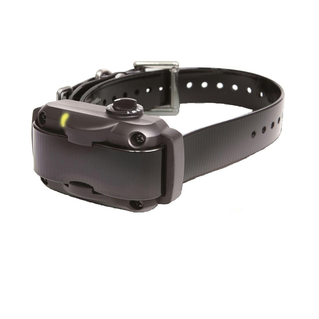 Dogtra Rapid Charging No Bark Collar - 10 Level Stimulations