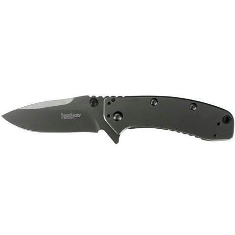 Kershaw Cryo lI Assisted 3.25 in Gray Plainedge Gray SS
