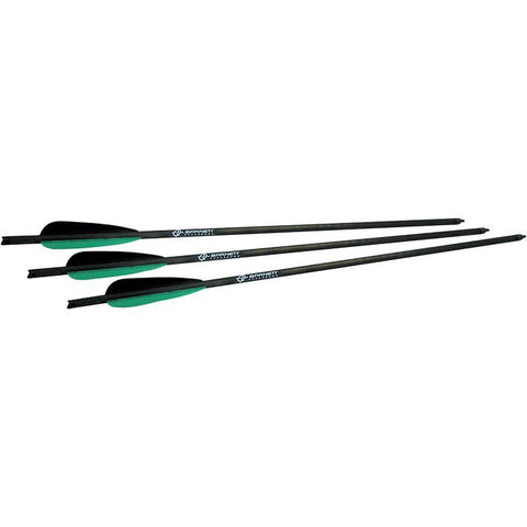 Barnett Arrows w-Field Point 22 in. 5pk 16079