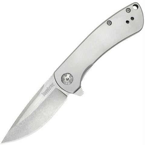 Kershaw Pico Assisted 2.875 Plainedge Stainless