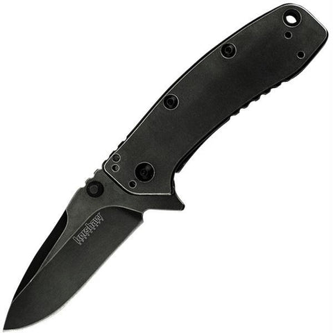 Kershaw Cryo II Assisted 3.25 in Blackwash Plain Gray SS